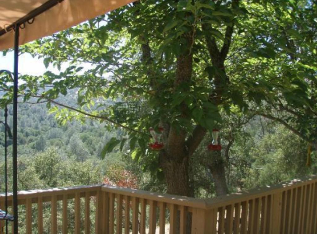 Yosemite Bed And Breakfast Mariposa Exterior photo